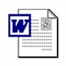 MS Word Icon